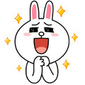 icon4